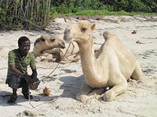 Voyage au Kenya: Traitement royal