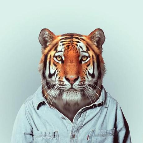 Fashion-Zoo-Animals8