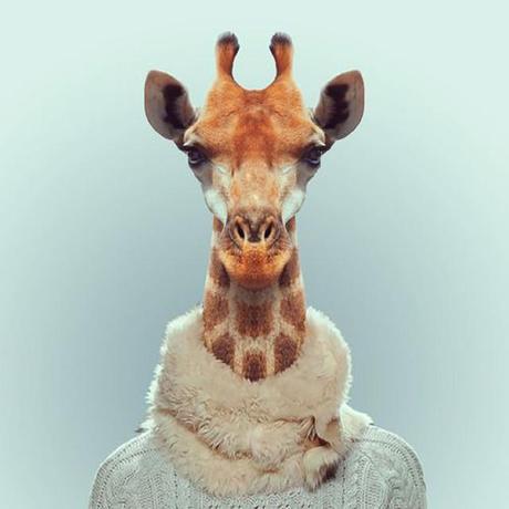 Fashion-Zoo-Animals7