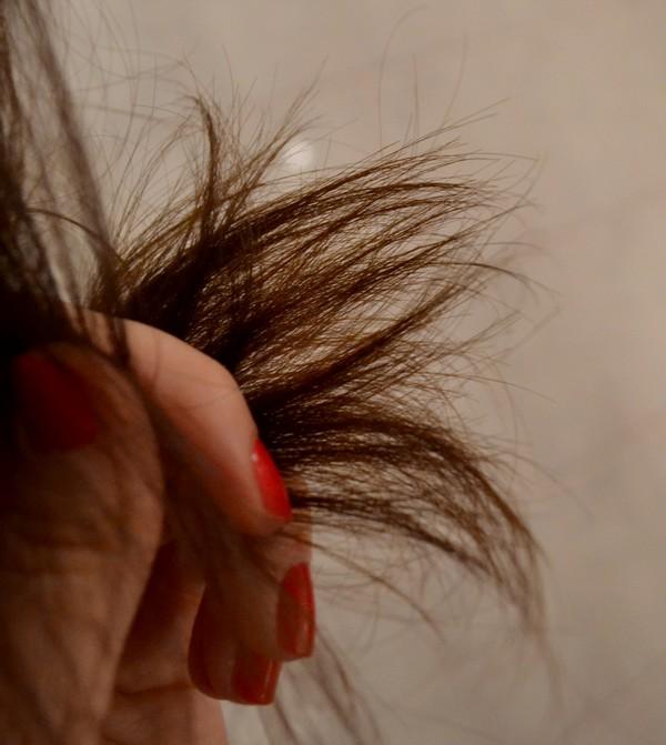 Le masque pour cheveux huile d'olive + œufs pour les nulles