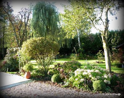 OUF !! Je devrais être désormais un peu plus présente par...