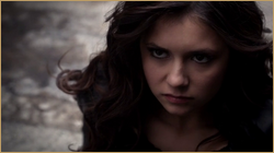 vlcsnap_2013_04_03_23h18m43s129