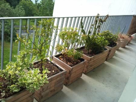 jardinières pour balcon