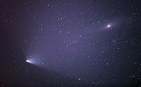 La chevelure de la comète dans toute sa superbe
