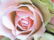 Attention peinture fraîche