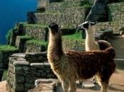 idées d’activités originales autour Cusco