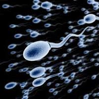 Quelle chance nous avons