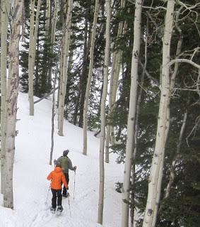 Redécouvrir la raquette