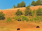 Cérémonie pour nouvelle terre