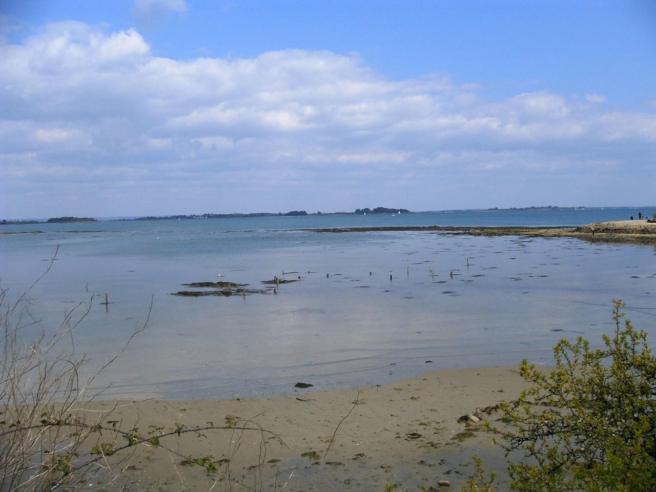 des lettres même pas ouvertes