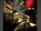 Exposition d’Olivier Perez: “Meet Holga York” Numériphot