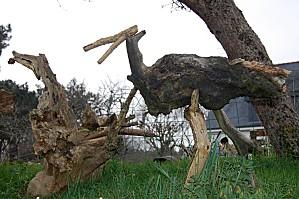 Belle Ile février (94) [1600x1200]