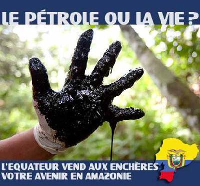 596 Equateur: vente aux enchères plus de 3 millions dhectares de forêt amazonienne aux compagnies pétrolières