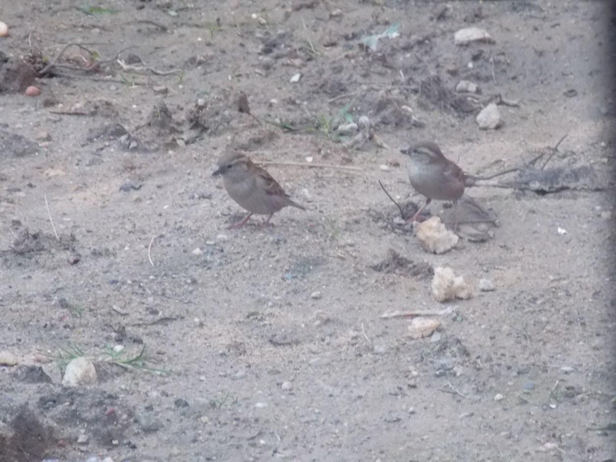 impression en situation assise