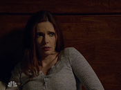 Critiques Séries Grimm. Saison Episode Angry Fuchsbau.