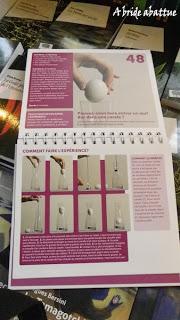 Au Salon du Livre 2013 ... on pouvait rencontrer des auteurs, mais pas que ...