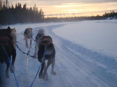 Catherine Lafrance publiera un deuxième roman... Catherine Lafrance publiera un deuxième roman...