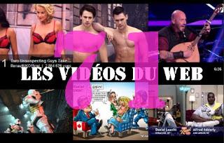 #LES VIDÉOSDUWEB 71