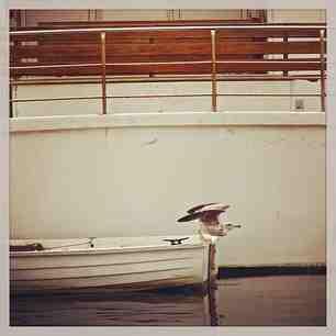 4cf07486994011e2986122000a9f194c_6