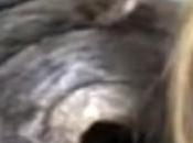 fille transformee serpent cause coran