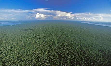 The Amazon rainforest  008 Brésil : un tribu amazonienne menace de déclarer la guerre au gouvernement