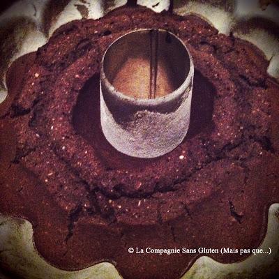 Gâteau au chocolat, au millet et aux graines