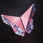 Mes jolis souvenirs #17