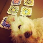 Mes jolis souvenirs #17