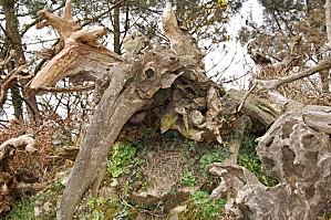 Belle Ile février (99) [1600x1200]