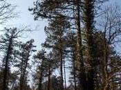 Petite balade près Croix Saint Clément lundi Pâques…