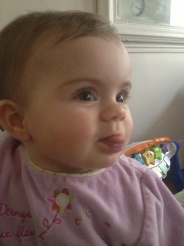 Projet 365 - Jour 100/101&102