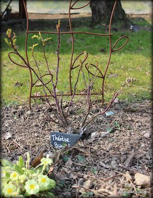 Je voudrais y croire...Un radoucissement, des pluies noct...