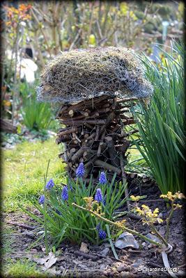 Je voudrais y croire...Un radoucissement, des pluies noct...