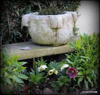 Je voudrais y croire...Un radoucissement, des pluies noct...