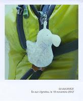 03 | A la recherche de la ptite bête à MAURICE