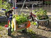 Garden’tricycles