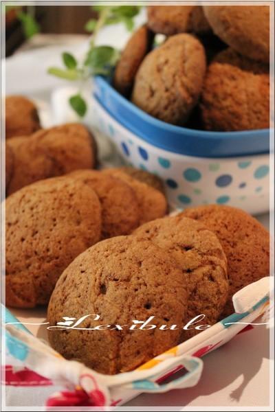 ~Biscuits à la mélasse~
