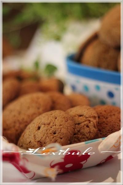 ~Biscuits à la mélasse~