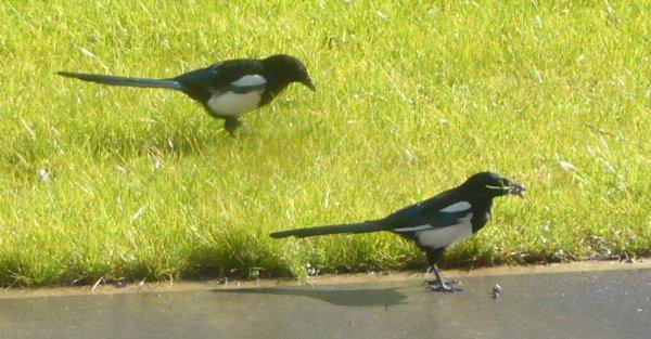 Le printemps va arriver la belle saison !