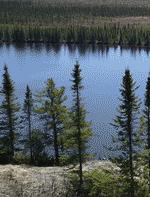 Recommandez projet soyez influenceur