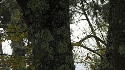 Trop pédaler rend fif !