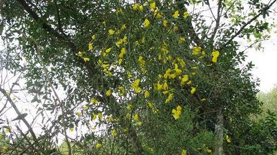 Trop pédaler rend fif !