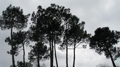 Trop pédaler rend fif !