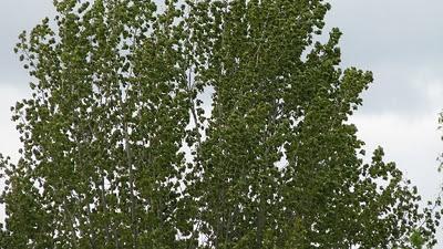 Trop pédaler rend fif !