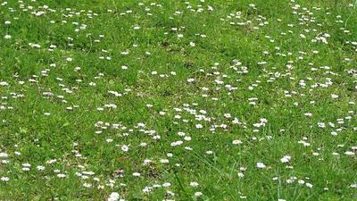 Trop pédaler rend fif !