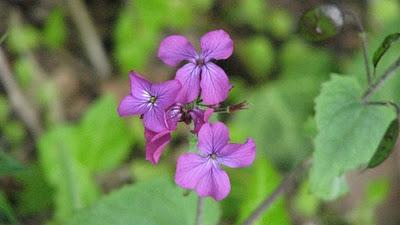 Trop pédaler rend fif !