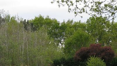 Trop pédaler rend fif !