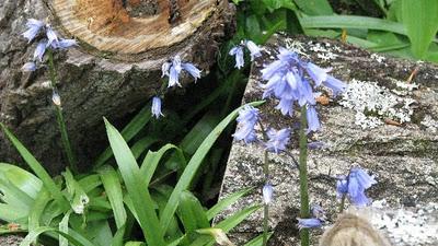 Trop pédaler rend fif !