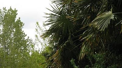 Trop pédaler rend fif !