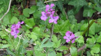 Trop pédaler rend fif !